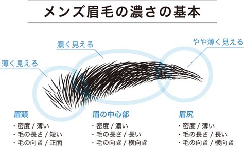 眉毛 男|永久保存版｜メンズ眉毛の正しい整え方 2021